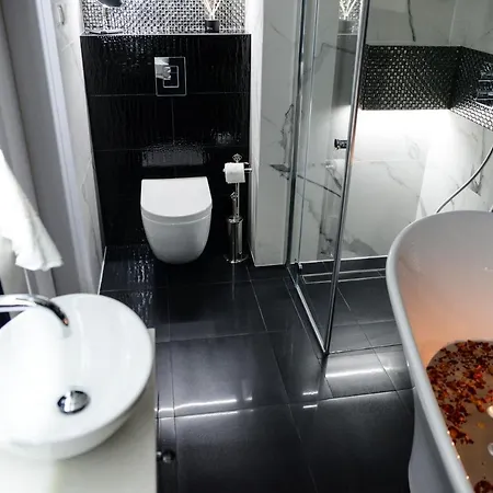 Diamond Lady Romantic Free Parking By Stayly Apartmán Štetín